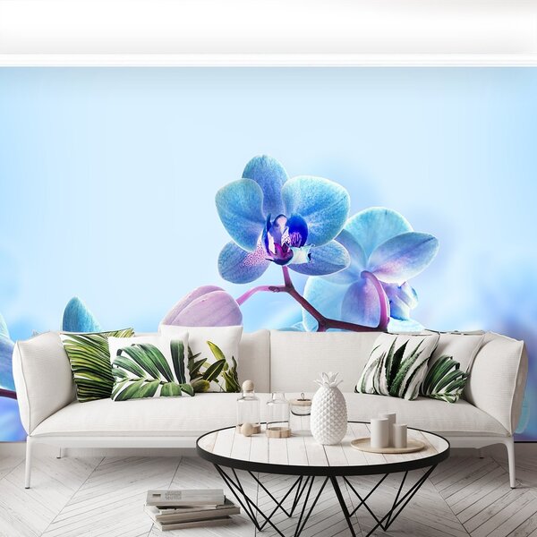 Fototapeta Vliesová Tropické orchidey 250x104 cm