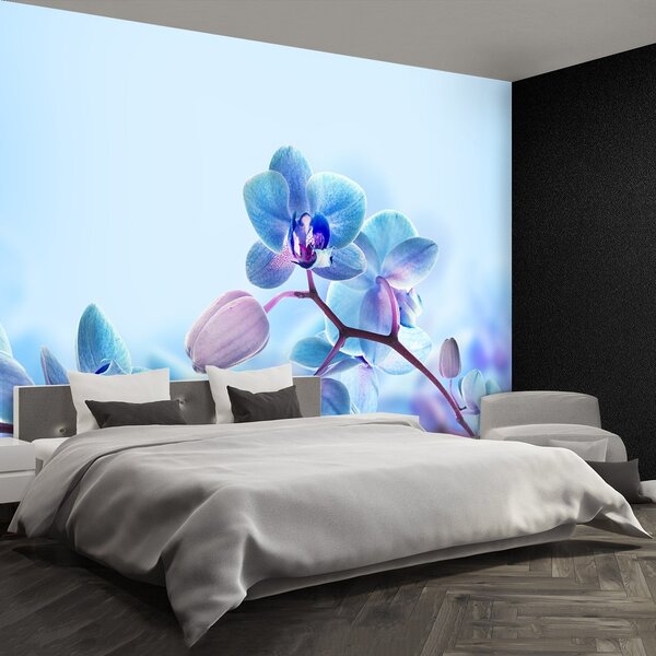 Fototapeta Vliesová Tropické orchidey 250x104 cm