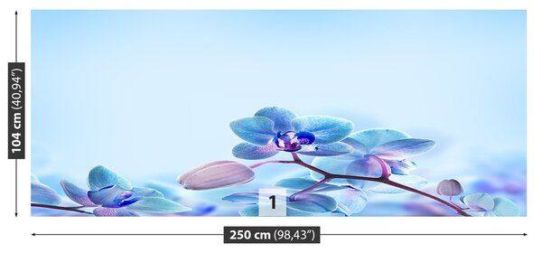 Fototapeta Vliesová Tropické orchidey 250x104 cm
