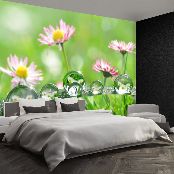 Fototapeta Vliesová Sedmokrásky zelené 250x104 cm