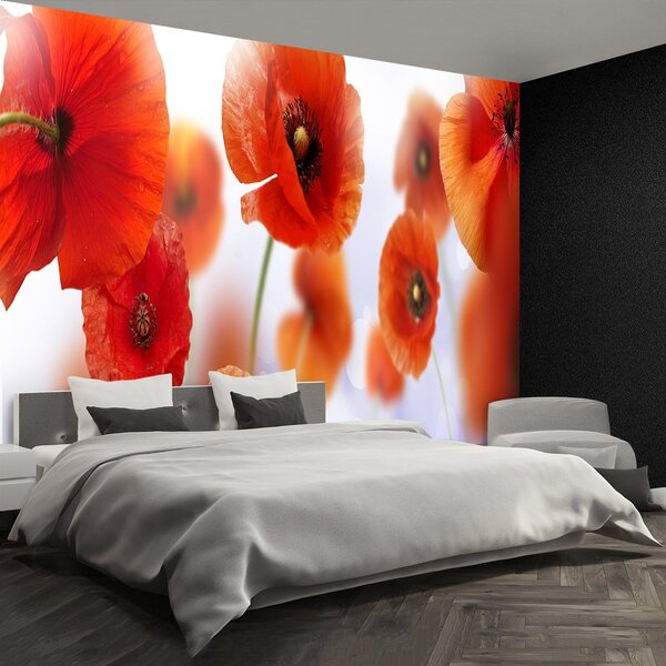 Fototapeta Vliesová Mak 250x104 cm