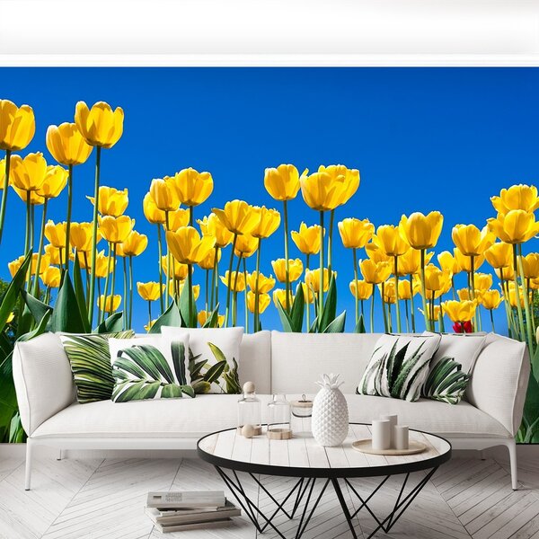 Fototapeta Vliesová Tulipán kvety 250x104 cm
