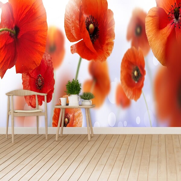 Fototapeta Vliesová Mak 250x104 cm