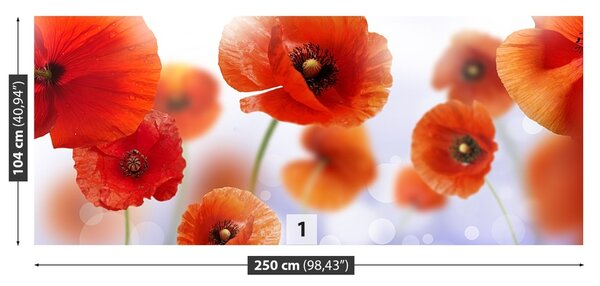 Fototapeta Vliesová Mak 250x104 cm