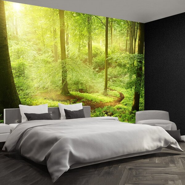 Fototapeta Vliesová Hmlistý les 250x104 cm