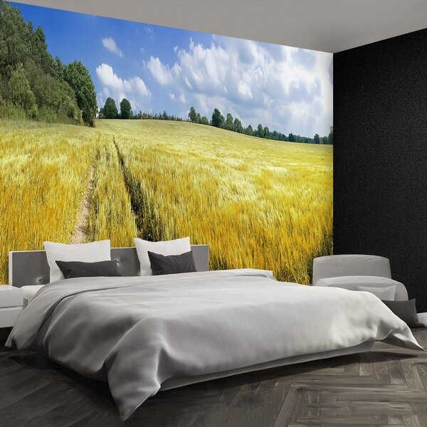 Fototapeta Vliesová Obilné polia 250x104 cm