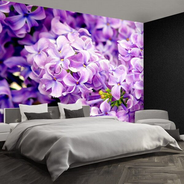 Fototapeta Vliesová Fialové kvety 250x104 cm