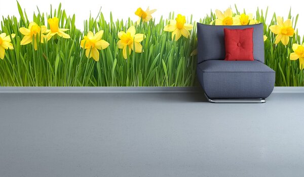 Fototapeta Vliesová Biely narcis 250x104 cm