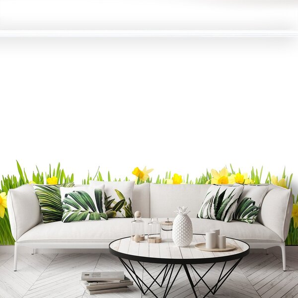 Fototapeta Vliesová Biely narcis 250x104 cm