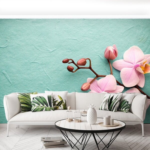 Fototapeta Vliesová Orchid pink 250x104 cm