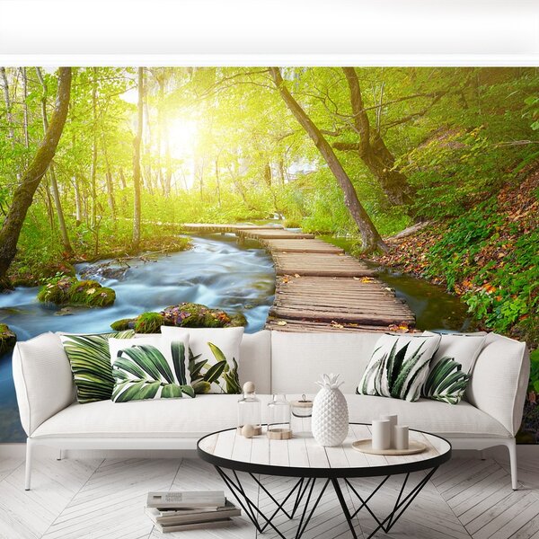 Fototapeta Vliesová Lávka park 250x104 cm