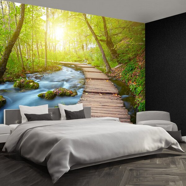 Fototapeta Vliesová Lávka park 250x104 cm