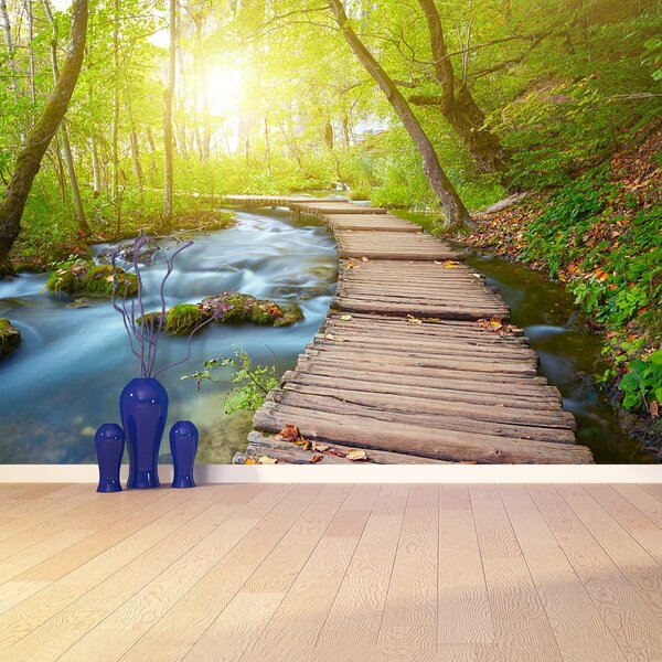 Fototapeta Vliesová Lávka park 250x104 cm