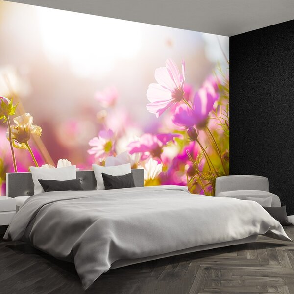 Fototapeta Vliesová Sedmokrásky kvety 250x104 cm