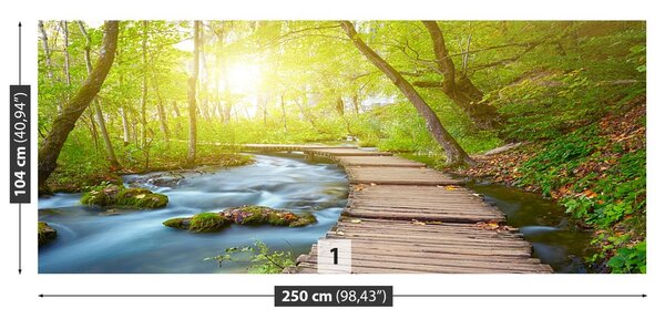 Fototapeta Vliesová Lávka park 250x104 cm