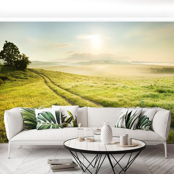 Fototapeta Vliesová Lúka a východ slnka 104x70 cm