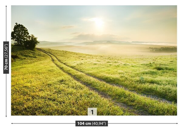 Fototapeta Vliesová Lúka a východ slnka 104x70 cm