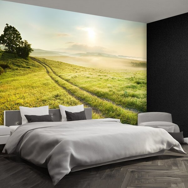 Fototapeta Vliesová Lúka a východ slnka 104x70 cm