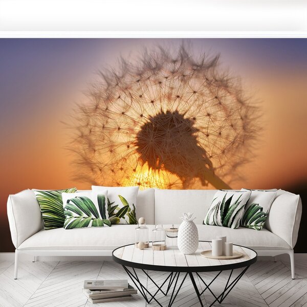 Fototapeta Vliesová Púpava 250x104 cm