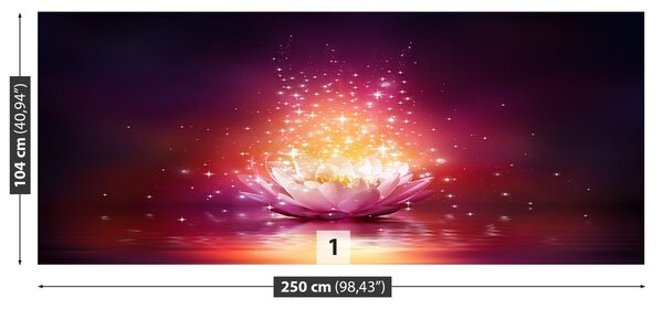 Fototapeta Vliesová Lotos hviezdy 250x104 cm