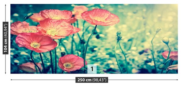 Fototapeta Vliesová Ročník mak 250x104 cm