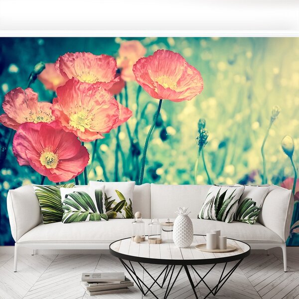 Fototapeta Vliesová Ročník mak 250x104 cm