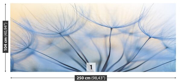 Fototapeta Vliesová Púpava 250x104 cm
