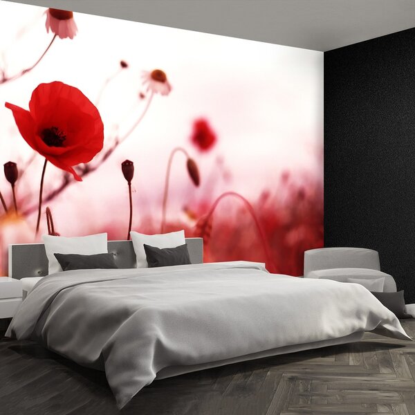 Fototapeta Vliesová Makové polia 152x104 cm