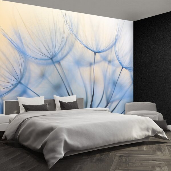 Fototapeta Vliesová Púpava 250x104 cm