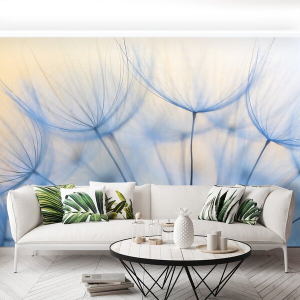 Fototapeta Vliesová Púpava 250x104 cm