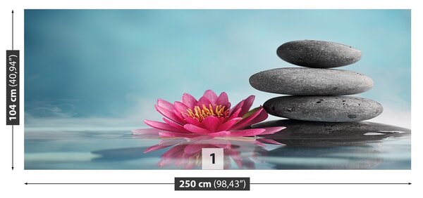 Fototapeta Vliesová Lekno 250x104 cm