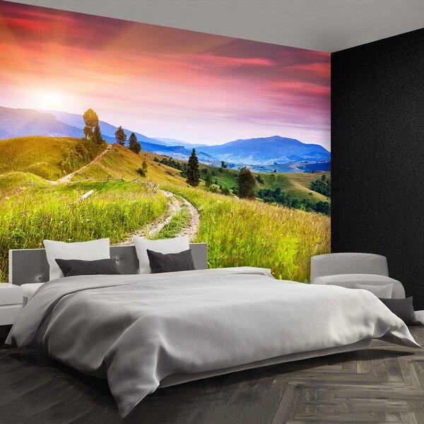 Fototapeta Vliesová Kvetnaté kopca 250x104 cm