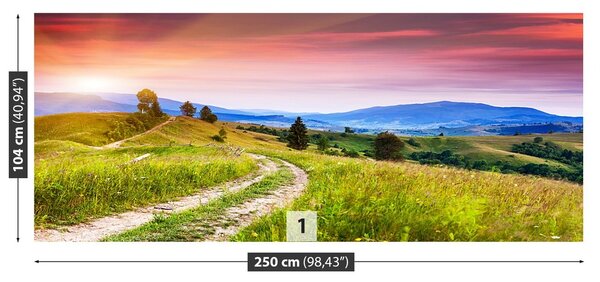 Fototapeta Vliesová Kvetnaté kopca 250x104 cm