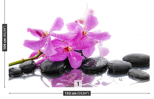 Fototapeta Vliesová Ružová orchidea 152x104 cm