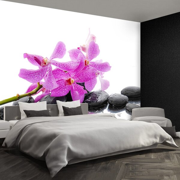 Fototapeta Vliesová Ružová orchidea 152x104 cm