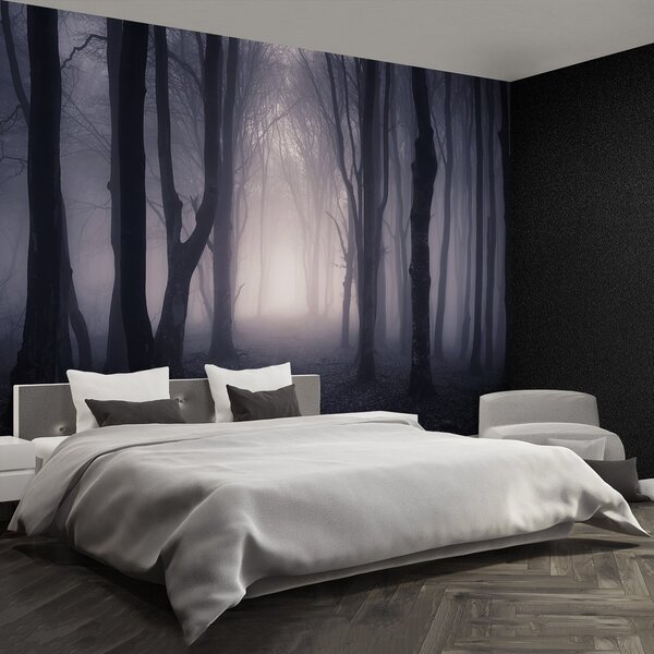 Fototapeta Vliesová Temný les 250x104 cm