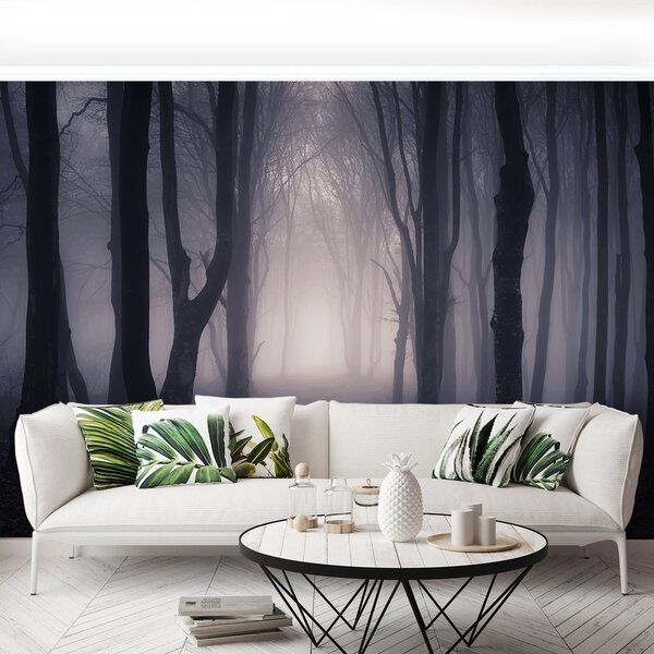 Fototapeta Vliesová Temný les 250x104 cm