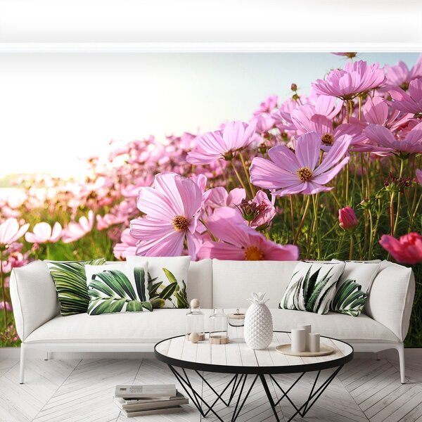 Fototapeta Vliesová Vesmír kvetina 152x104 cm