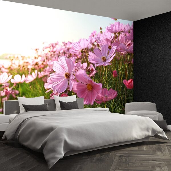 Fototapeta Vliesová Vesmír kvetina 152x104 cm