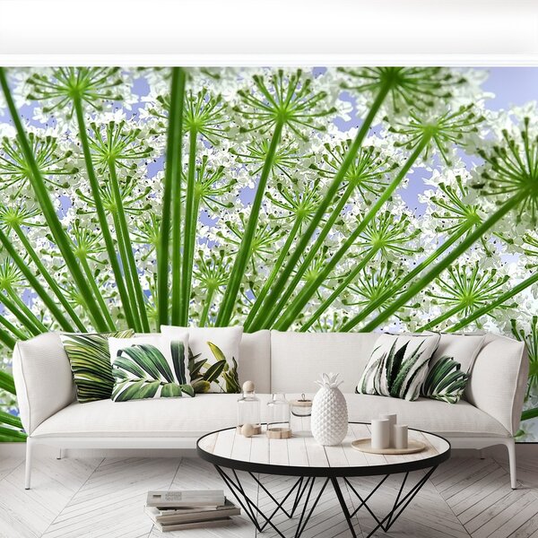 Fototapeta Vliesová Boršč 104x70 cm