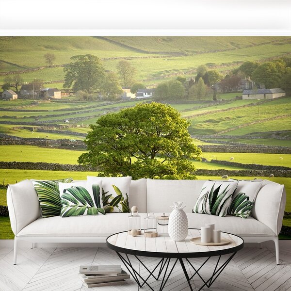 Fototapeta Vliesová Anglie derbyshire 250x104 cm