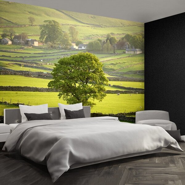 Fototapeta Vliesová Anglie derbyshire 250x104 cm