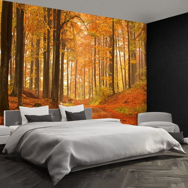 Fototapeta Vliesová Jesenné les 104x70 cm