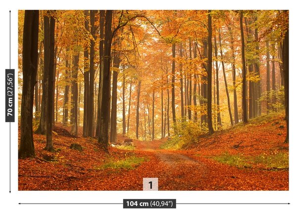 Fototapeta Vliesová Jesenné les 104x70 cm