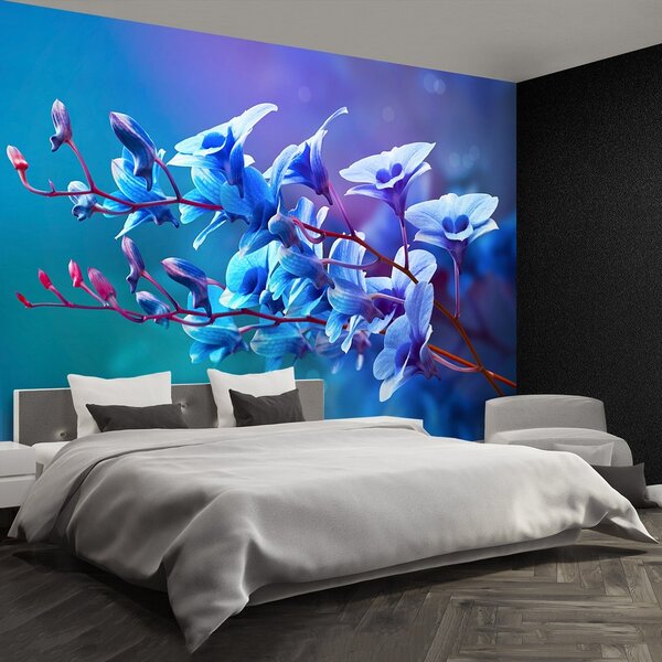 Fototapeta Vliesová Modrá orchidea 104x70 cm