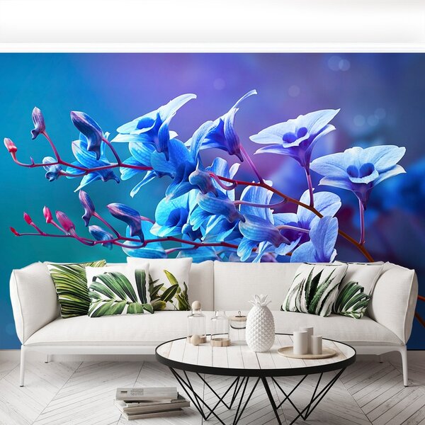Fototapeta Vliesová Modrá orchidea 104x70 cm