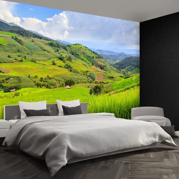 Fototapeta Vliesová Ryžové polia 104x70 cm
