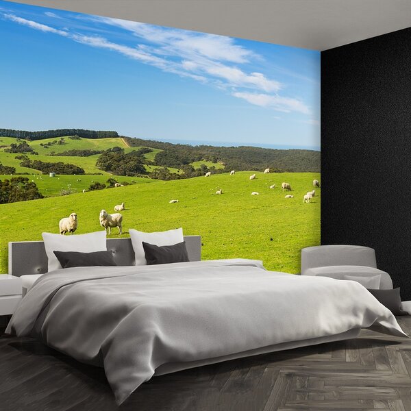 Fototapeta Vliesová Ovčia pole 104x70 cm