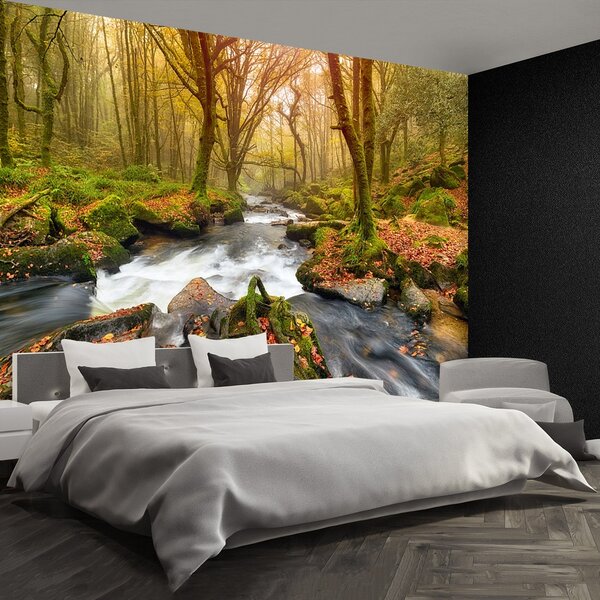 Fototapeta Vliesová Lesná rieka 104x70 cm