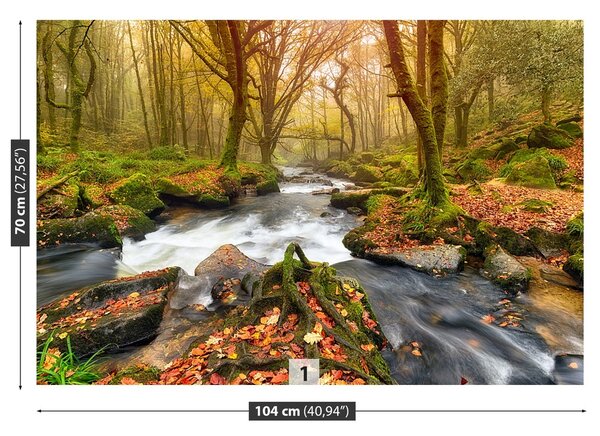 Fototapeta Vliesová Lesná rieka 104x70 cm